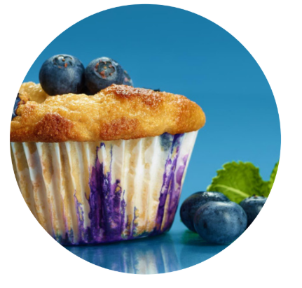 Sportstraining-Weightloss blueberry muffin